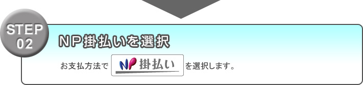 STEP02 NP掛払いを選択